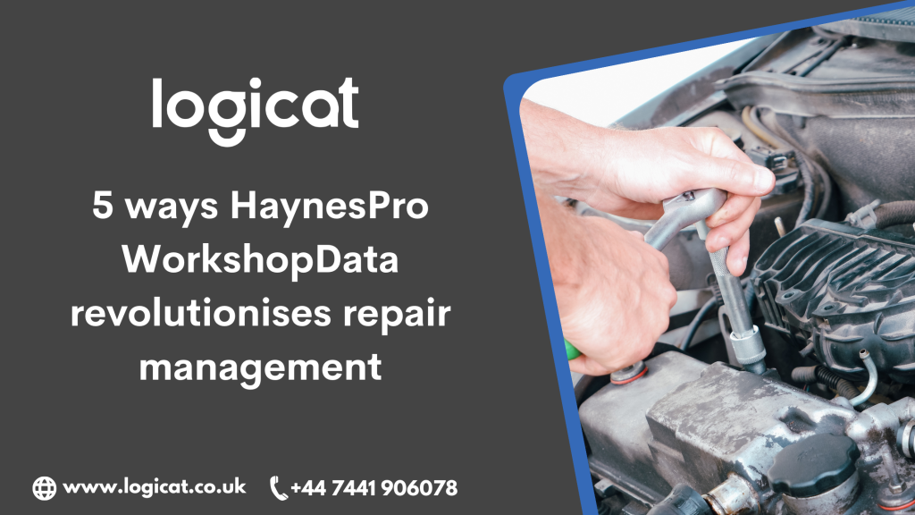 workshopdata repair 