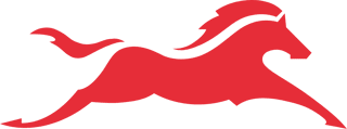 TVS Motor company